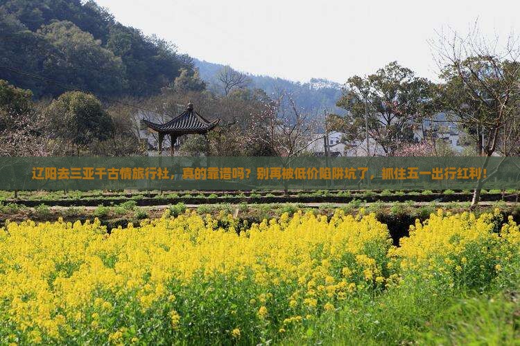 辽阳去三亚千古情旅行社