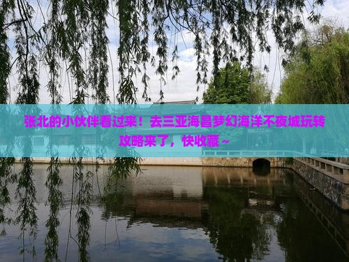 张北前往三亚海昌梦幻海洋不夜城攻略