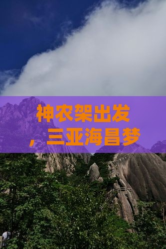 神农架前往三亚海昌梦幻海洋不夜城四日游