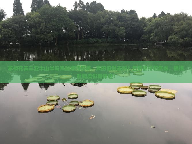 攀枝花去三亚半山半岛帆船港四日游