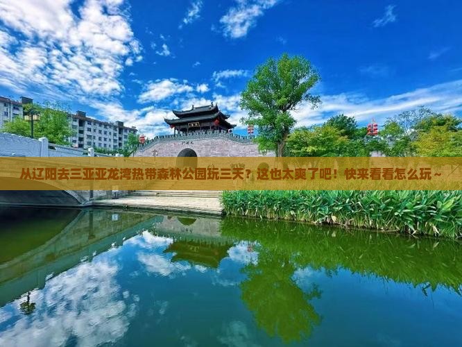 辽阳出发三亚亚龙湾热带森林公园三日游