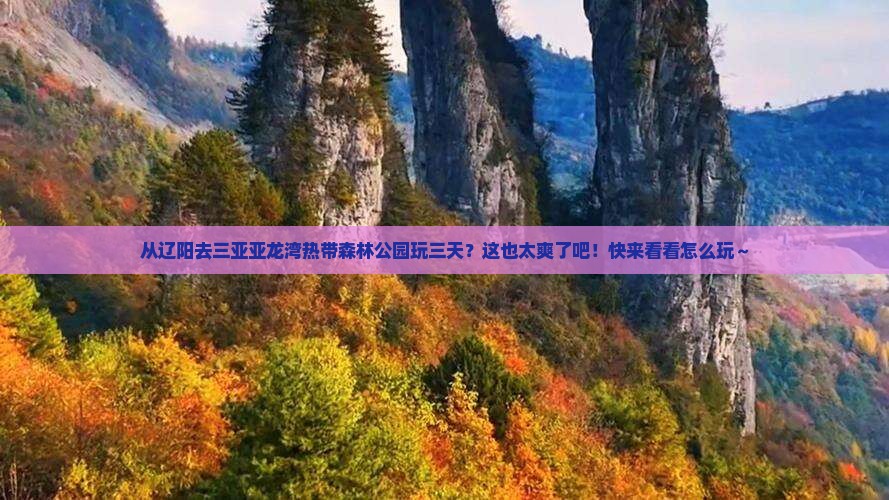辽阳出发三亚亚龙湾热带森林公园三日游