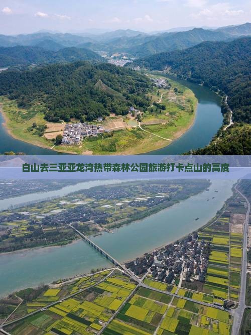 白山去三亚亚龙湾热带森林公园旅游打卡点
