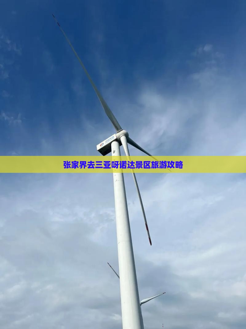 张家界去三亚呀诺达景区攻略
