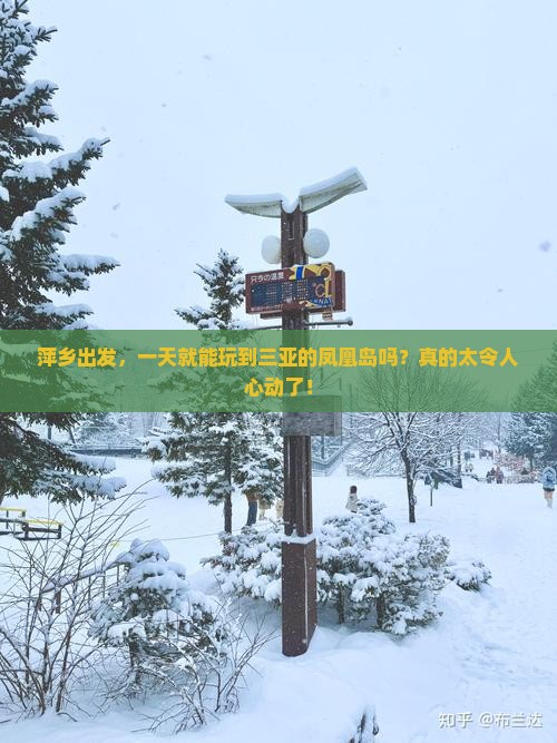 萍乡去三亚凤凰岛一日游