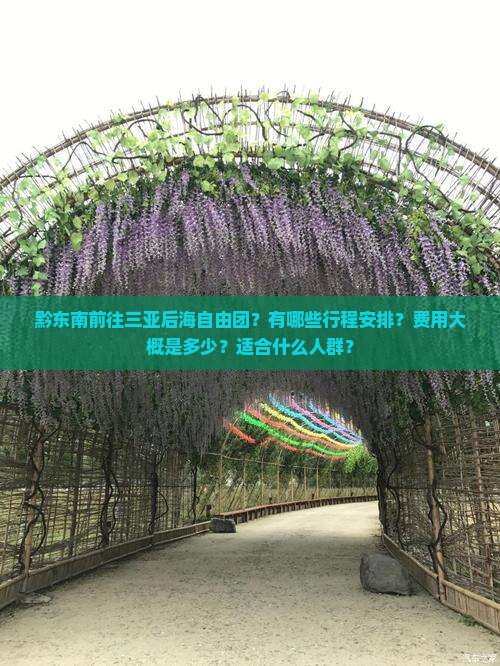 黔东南前往三亚后海自由团