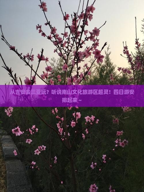 吉安出发三亚南山文化旅游区四日游