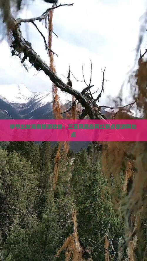 毕节出发三亚凤凰岛旅游网红地点