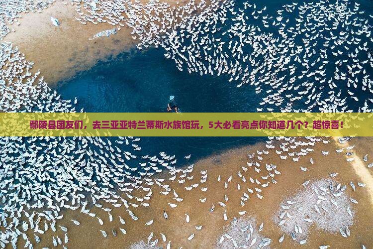 鄢陵县前往三亚亚特兰蒂斯水族馆团体旅游