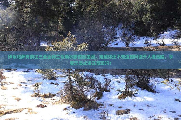 伊犁哈萨克前往三亚亚特兰蒂斯水族馆自由团