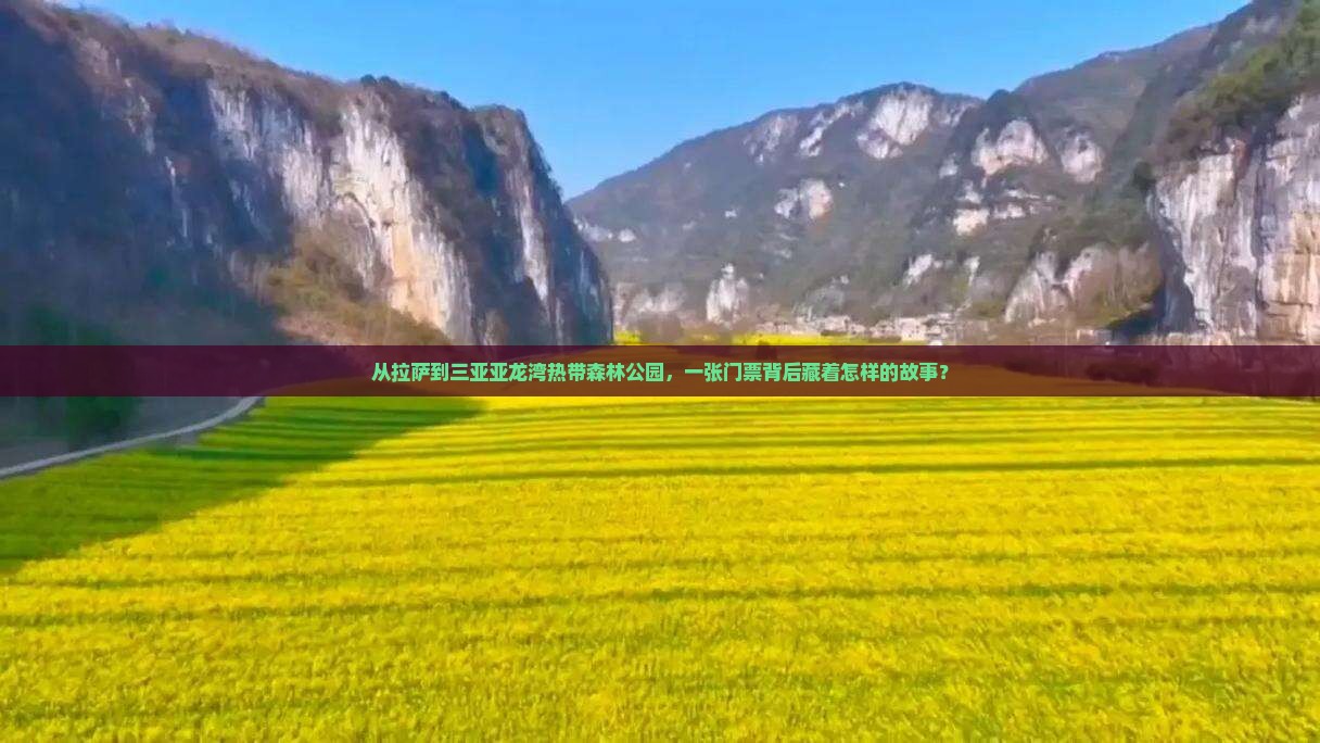 拉萨去三亚亚龙湾热带森林公园门票