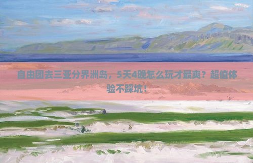 大同去三亚分界洲岛自由团