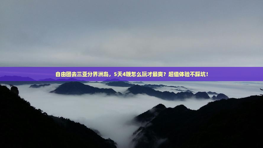 大同去三亚分界洲岛自由团