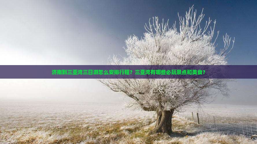 济南前往三亚三亚湾三日游