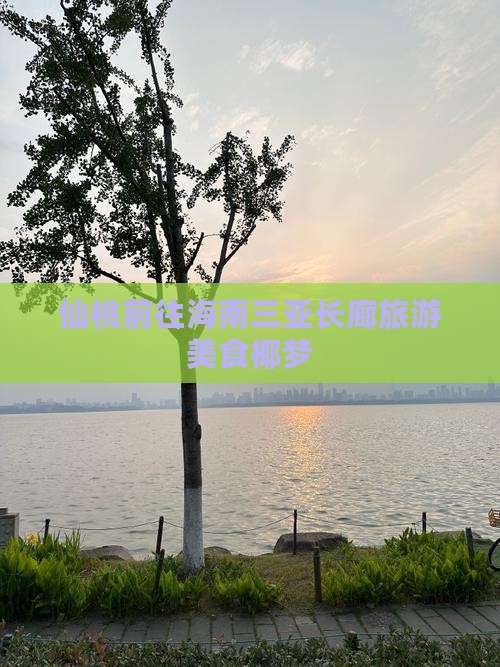 仙桃前往三亚椰梦长廊旅游小吃 仙桃前往三亚椰梦长廊旅游小吃