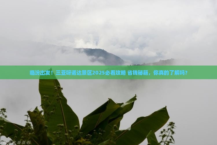临汾去三亚呀诺达景区旅游
