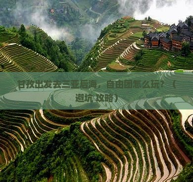 甘孜出发三亚后海自由团