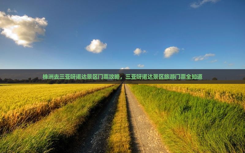 株洲去三亚呀诺达景区门票