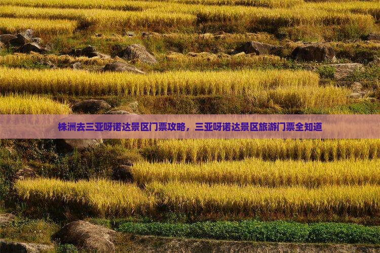 株洲去三亚呀诺达景区门票