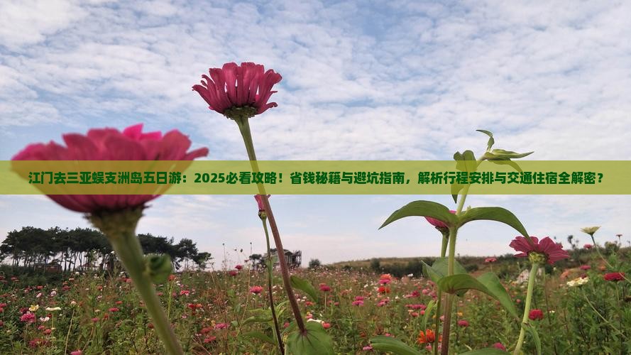 江门去三亚蜈支洲岛五日游