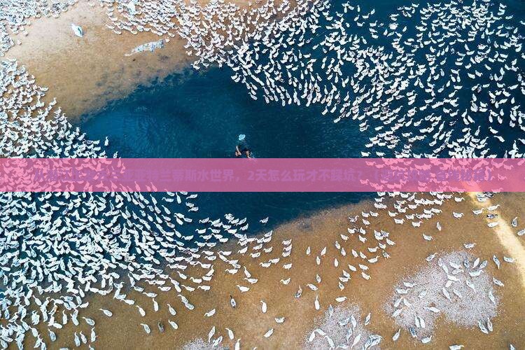 潜江前往三亚亚特兰蒂斯水世界二日游