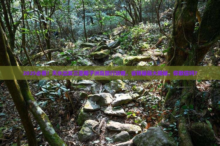 天水出发三亚椰子洲岛旅行社