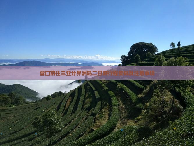 营口前往三亚分界洲岛二日游