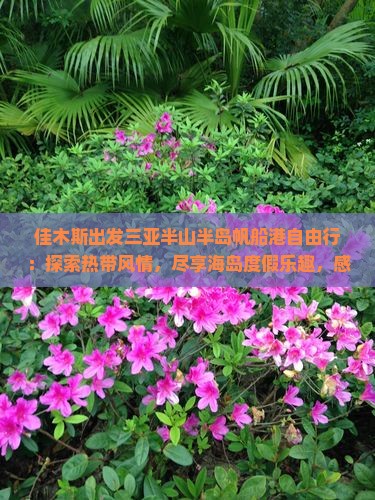 佳木斯出发三亚半山半岛帆船港自由行