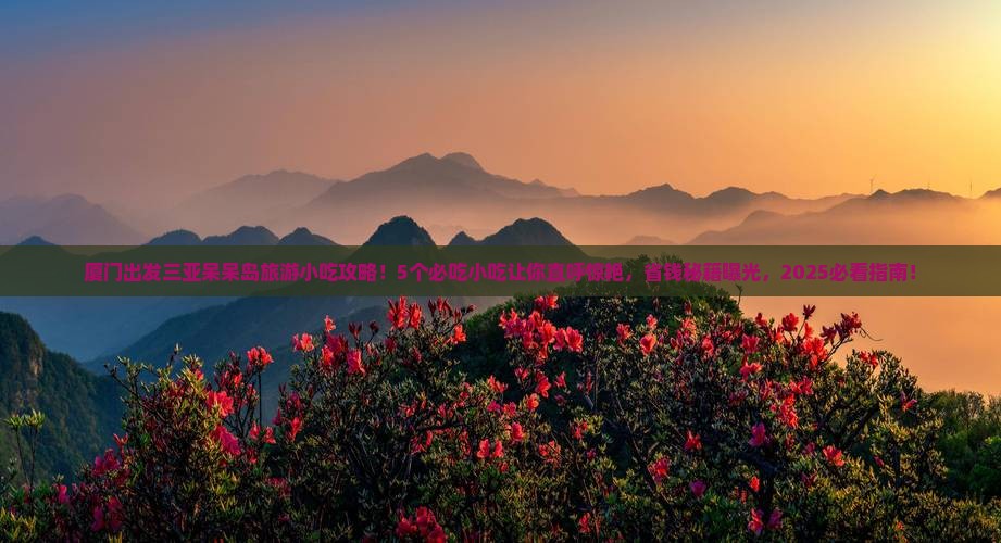 厦门出发三亚呆呆岛旅游小吃