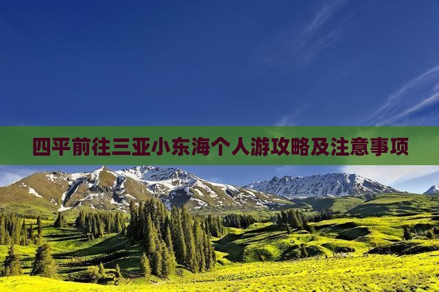 四平前往三亚小东海个人游
