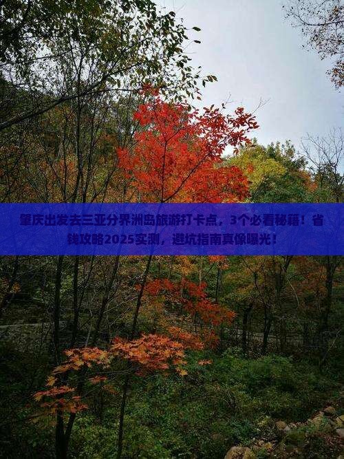肇庆去三亚分界洲岛旅游打卡点