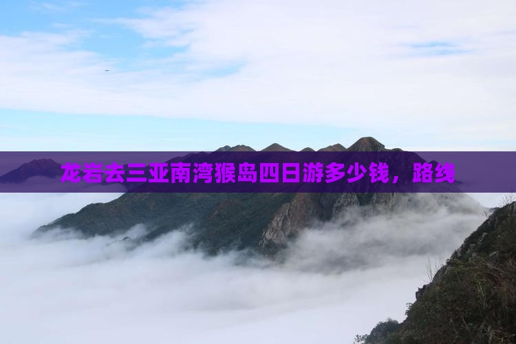龙岩去三亚南湾猴岛四日游