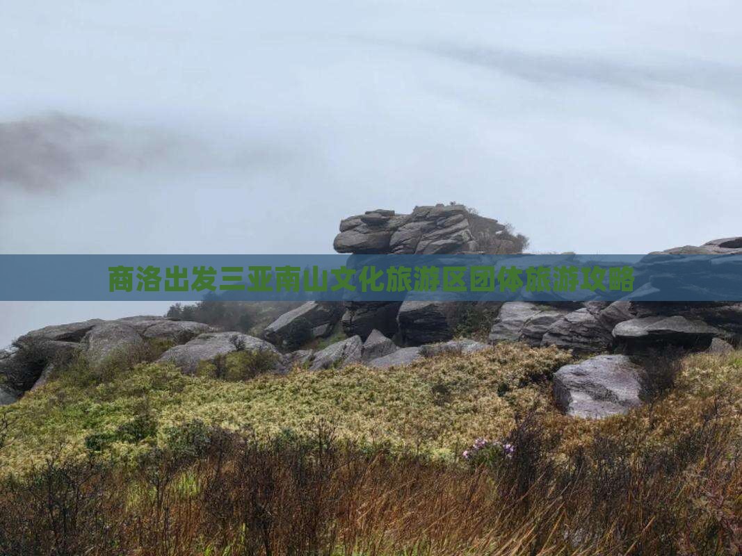 商洛出发三亚南山文化旅游区团体旅游