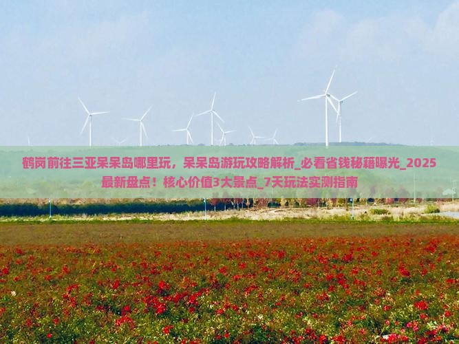 鹤岗前往三亚呆呆岛哪里玩