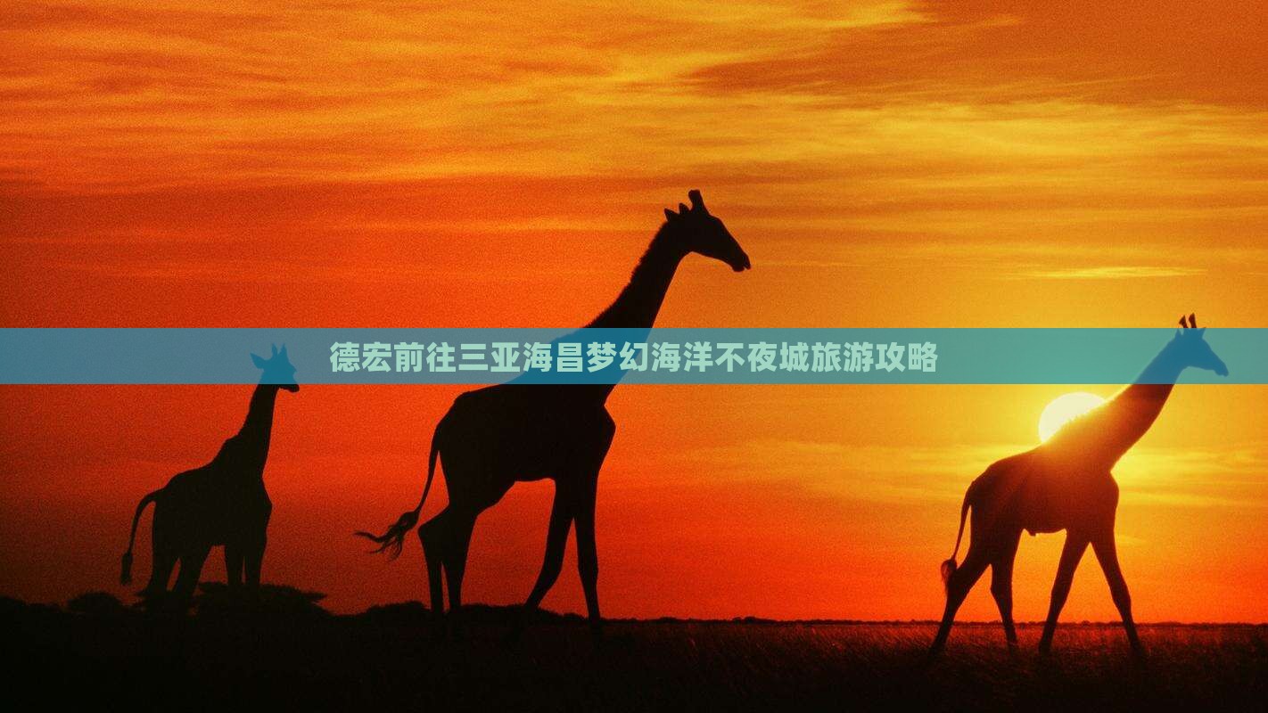 德宏前往三亚海昌梦幻海洋不夜城旅行社