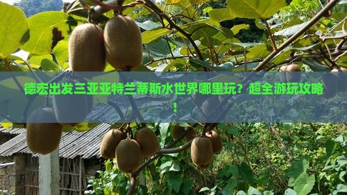 德宏出发三亚亚特兰蒂斯水世界哪里玩