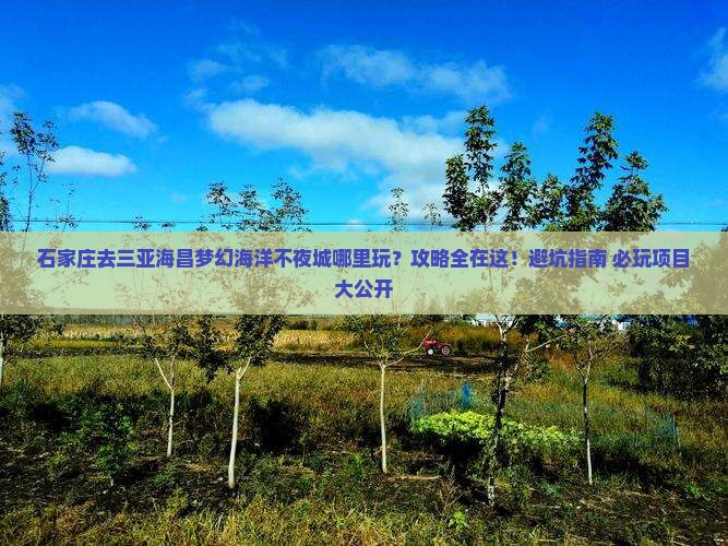 石家庄去三亚海昌梦幻海洋不夜城哪里玩
