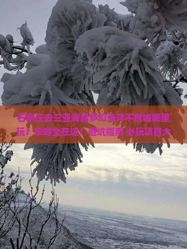 石家庄去三亚海昌梦幻海洋不夜城哪里玩
