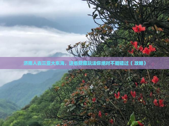 济南去三亚大东海必玩地