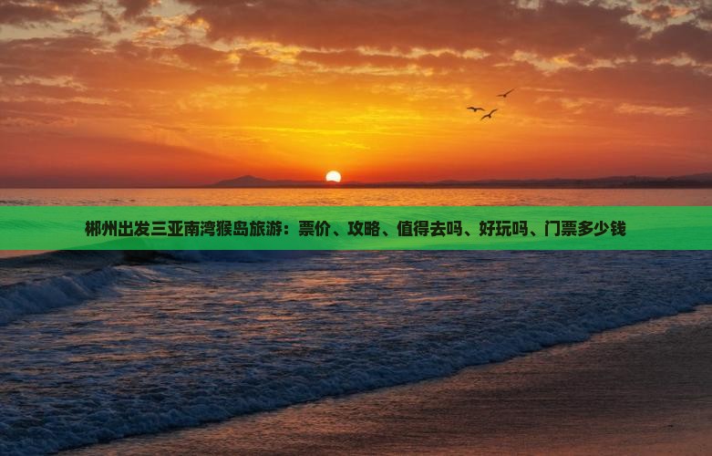 郴州出发三亚南湾猴岛旅游