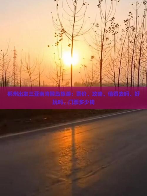 郴州出发三亚南湾猴岛旅游