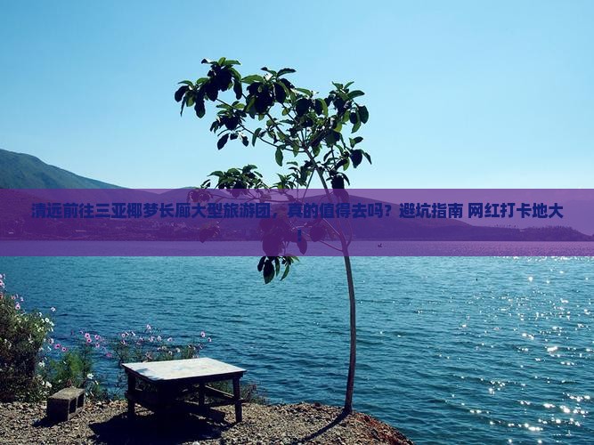 清远前往三亚椰梦长廊大型旅游团