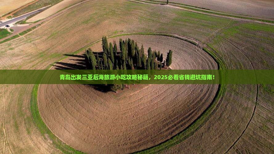青岛出发三亚后海旅游小吃