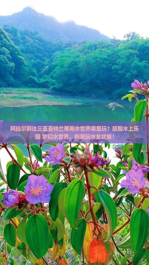 阿拉尔前往三亚亚特兰蒂斯水世界哪里玩