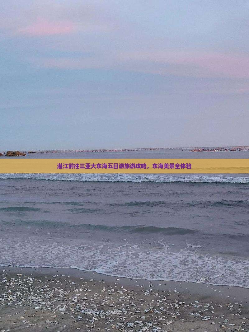 湛江前往三亚大东海五日游
