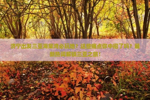 济宁出发三亚海棠湾必玩地