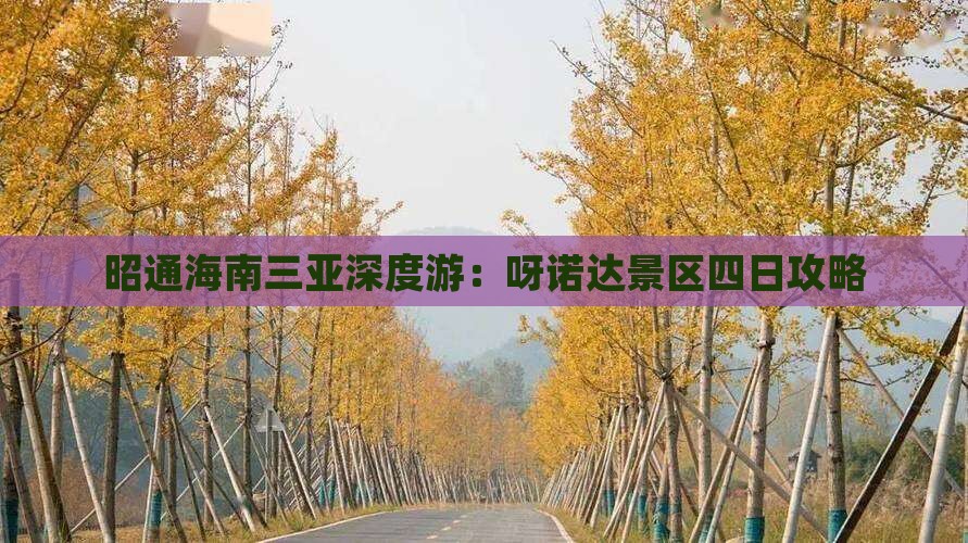 昭通海南三亚深度游：呀诺达景区四日攻略