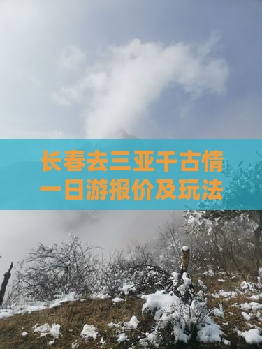 长春去三亚千古情一日游报价及玩法攻略