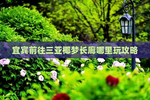 宜宾前往三亚椰梦长廊哪里玩攻略