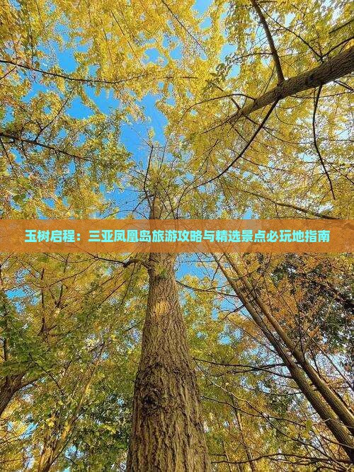 玉树启程：三亚凤凰岛旅游攻略与精选景点必玩地指南